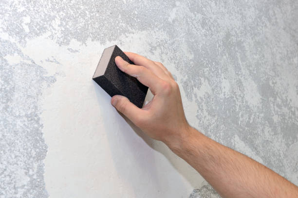 Best Mold Damage Restoration  in Sparta, GA