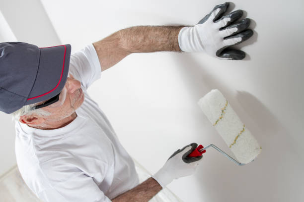 Best Mold Odor Removal Services  in Sparta, GA