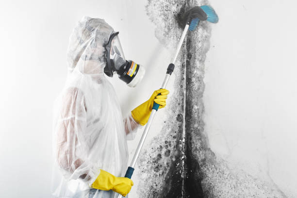 Best Crawl Space Mold Remediation  in Sparta, GA