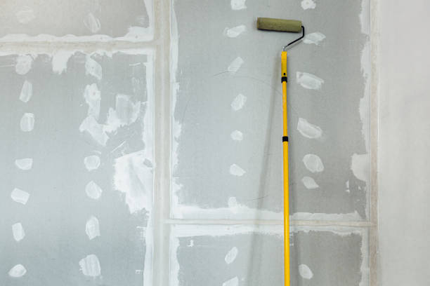 Best Real Estate Mold Inspection  in Sparta, GA