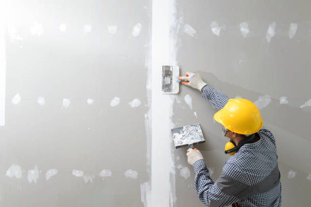 Best Basement Mold Removal  in Sparta, GA