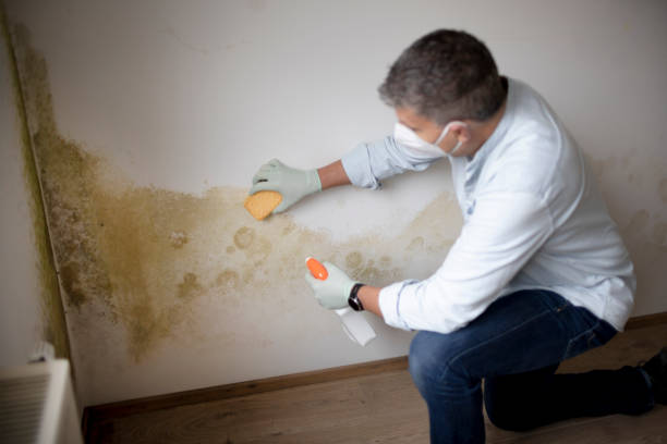 Best Industrial Mold Remediation  in Sparta, GA