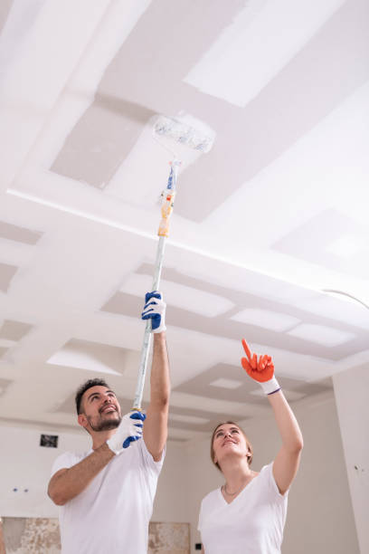 Best Basement Mold Removal  in Sparta, GA