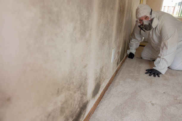 Best Emergency Mold Remediation  in Sparta, GA