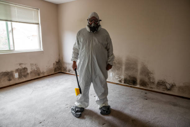 Best Air Quality Testing for Mold Spores  in Sparta, GA